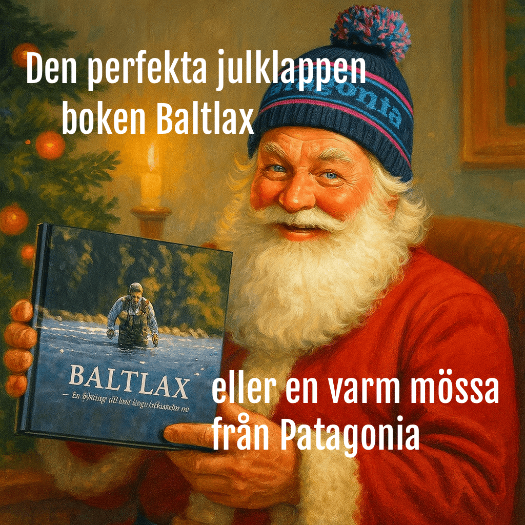 julklapp-2025--mobil