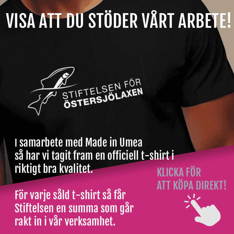 t-shirtbanner mobil