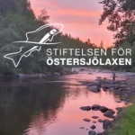 Stiftelsen för Östersjölaxen